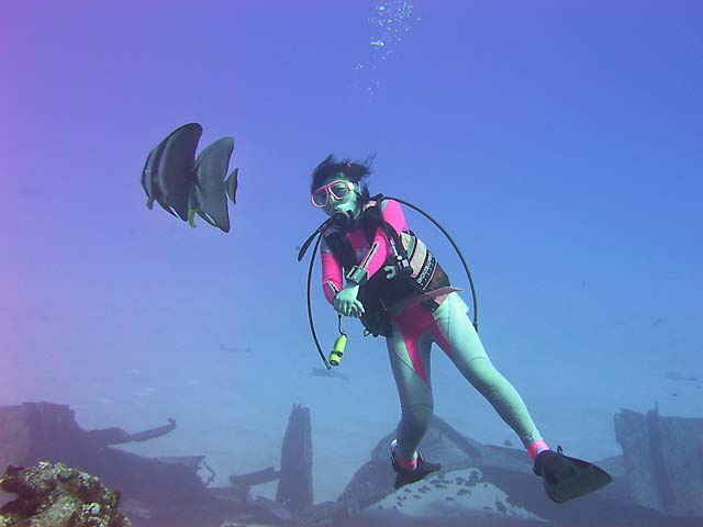 Diver with spadefish