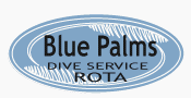 Blue Palms Logo - Image