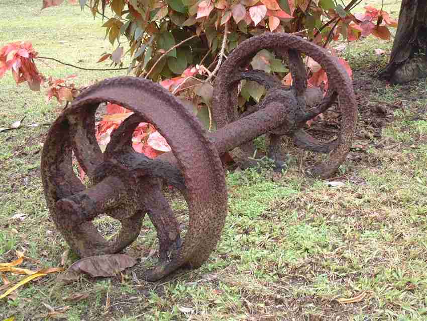 Sugar Cane Train Wheels