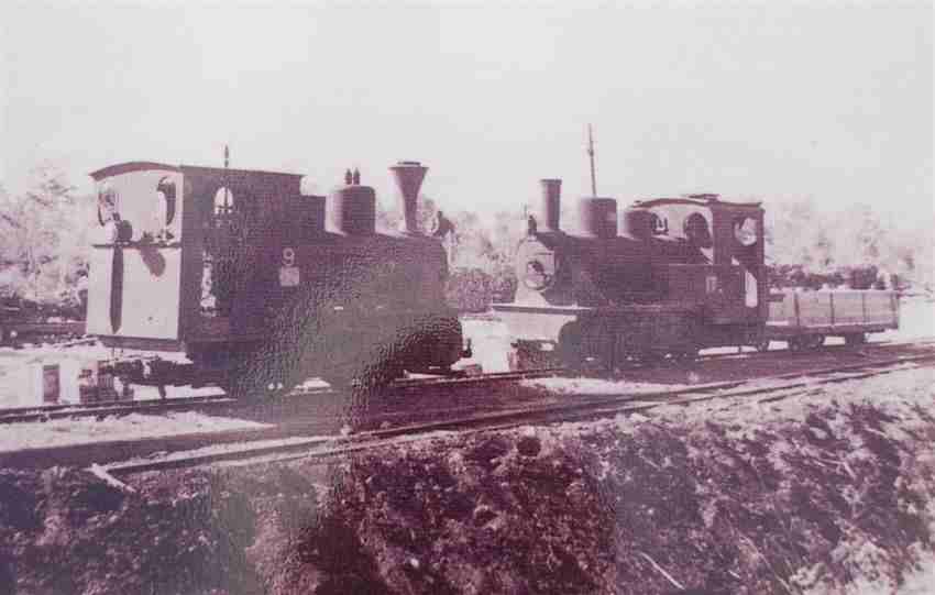 Rota Sugarcane Trains