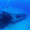 DiverGoing Down to Shipwreck