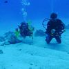 Divers on Tour