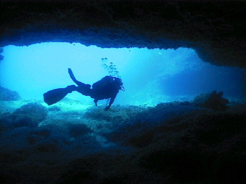 Pearlman Tunnel Dive Site