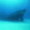 Shipwreck Snake Eyes - Stern
