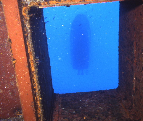 Looking at dive boat on surface from the shipwreck