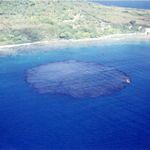 Detonation of ordnance at Coral Garden